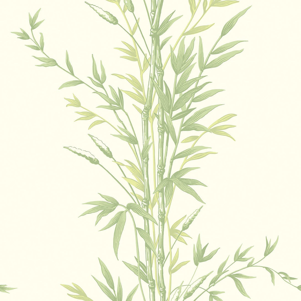 Cole & Son Bamboo wallpaper in Olive Green on White — pattern