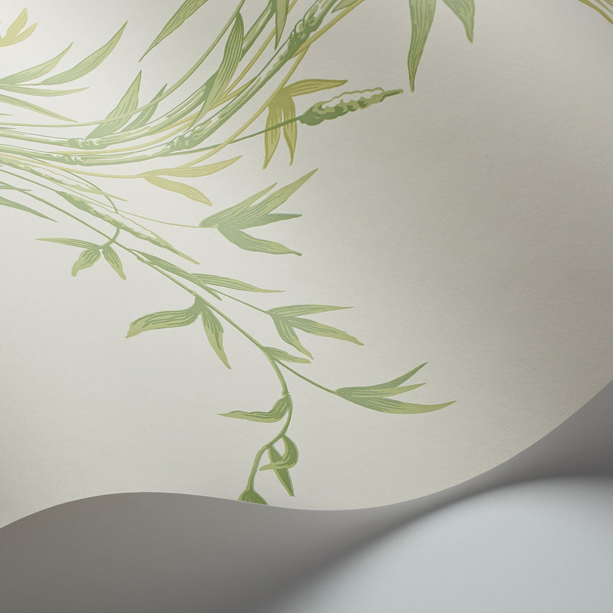 Cole & Son Bamboo wallpaper in Olive Green on White — detail