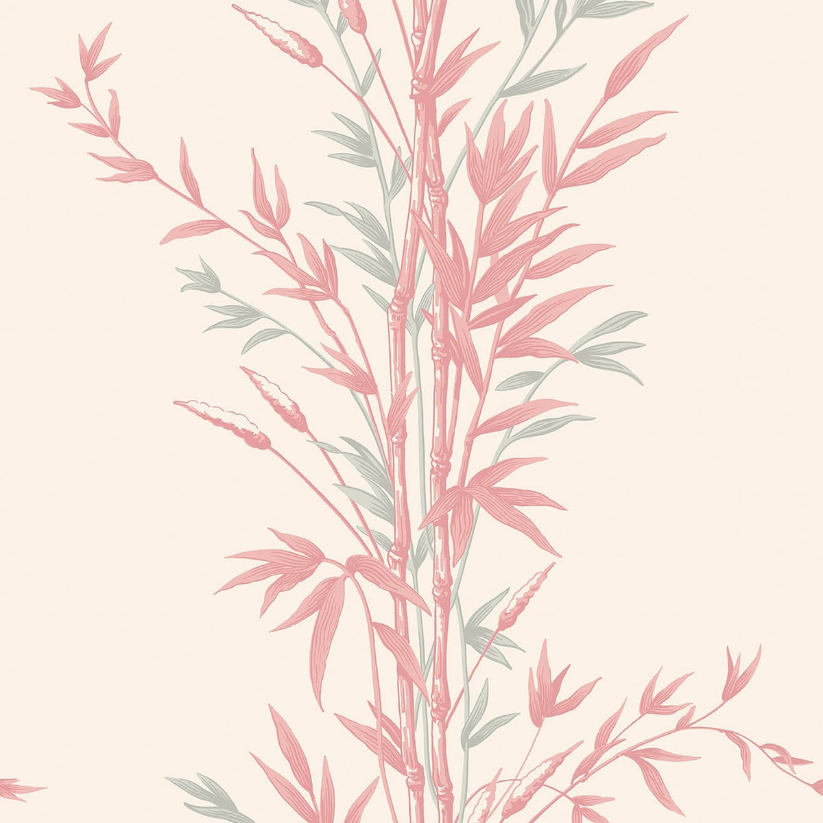 Cole & Son Bamboo wallpaper in Rose on Parchment — pattern