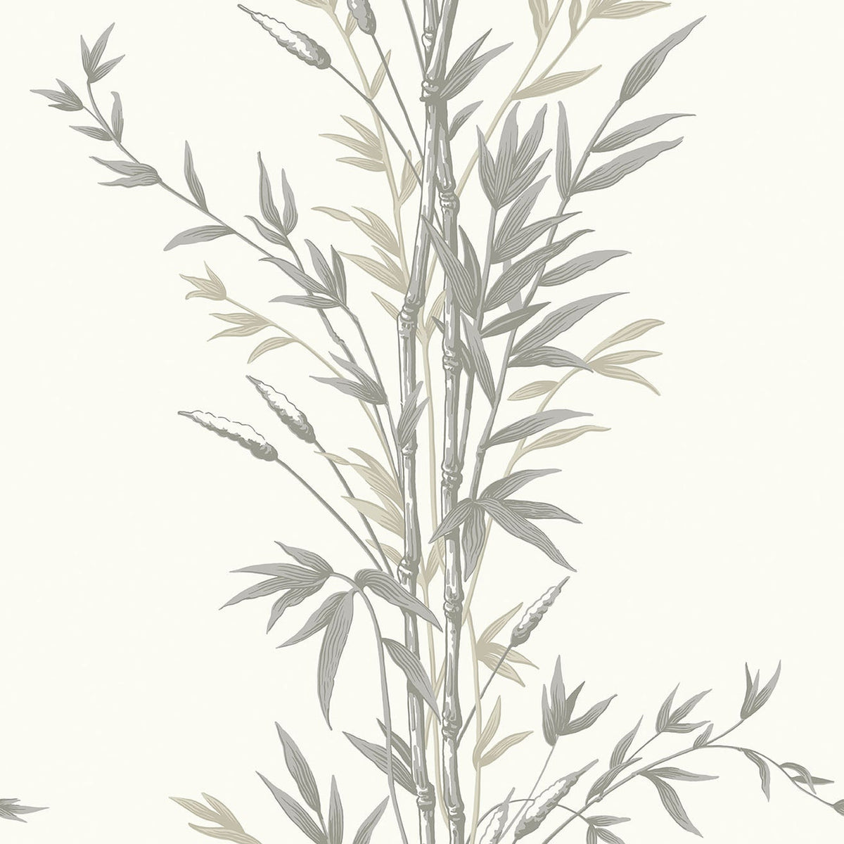 Cole & Son Bamboo wallpaper in Taupe on White — pattern