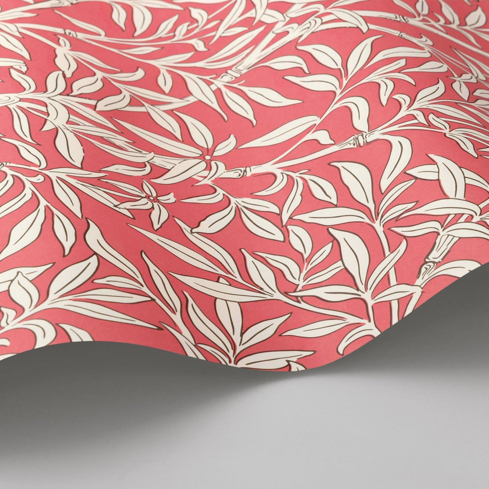 Cole & Son Bamboo Forest wallpaper in Chalk on Rouge — wallpaper detail