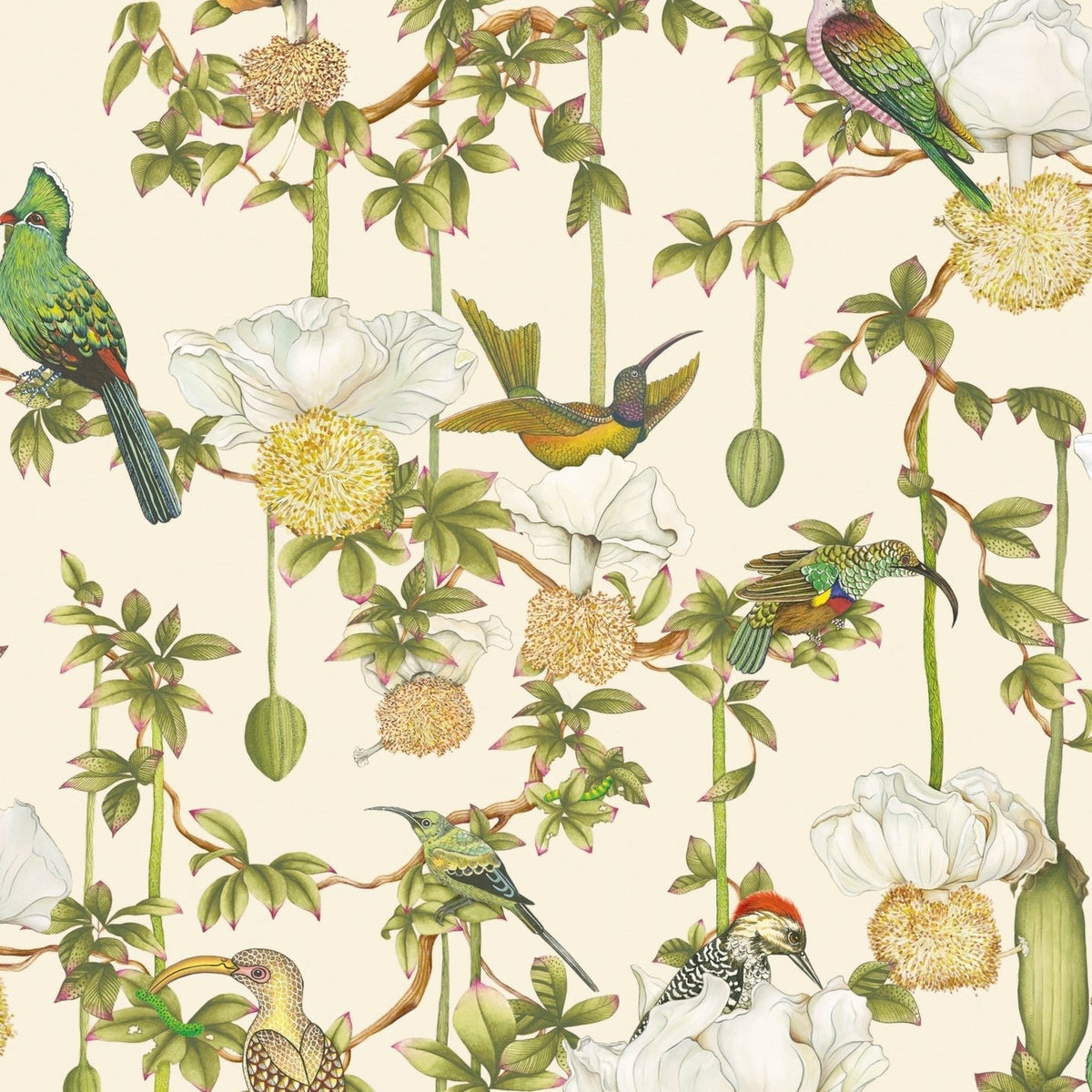 Cole & Son Baobab Botanica wallpaper in Stone — pattern