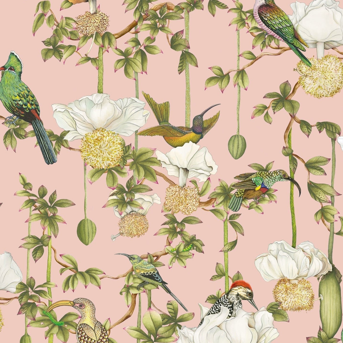 Cole & Son Baobab Botanica wallpaper in Blush — pattern