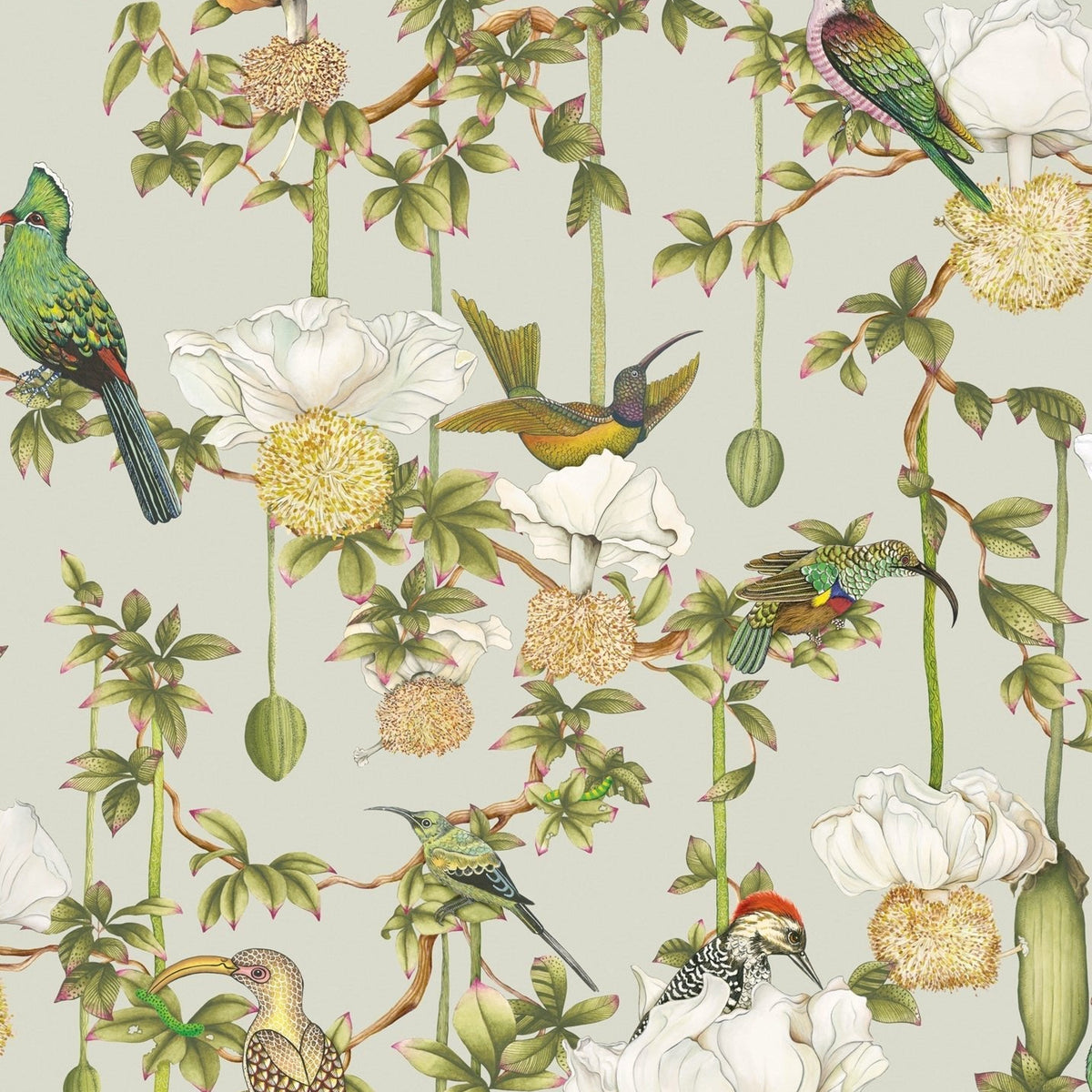 Cole & Son Baobab Botanica wallpaper in Duck Egg — pattern