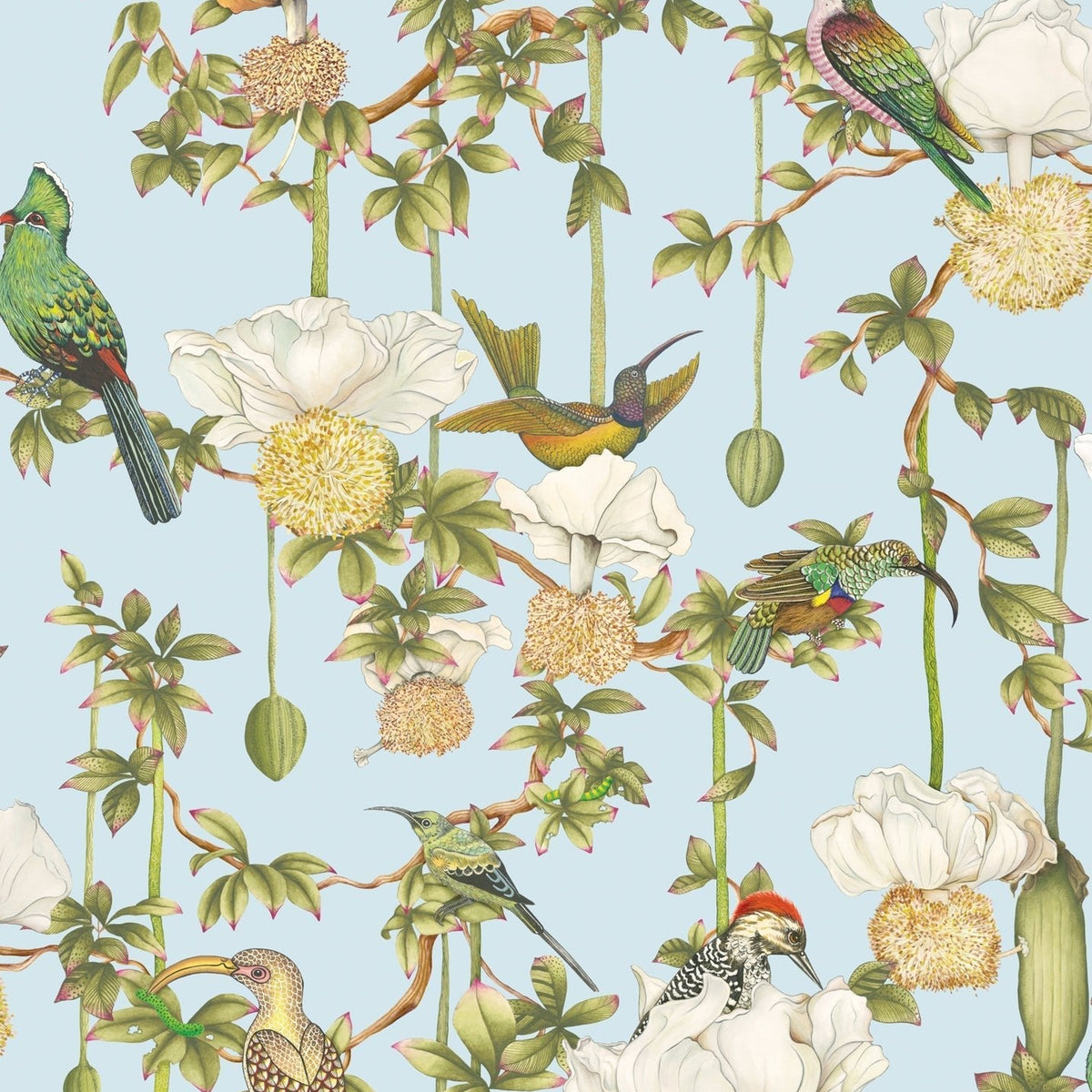 Cole & Son Baobab Botanica wallpaper in Sky Blue — pattern