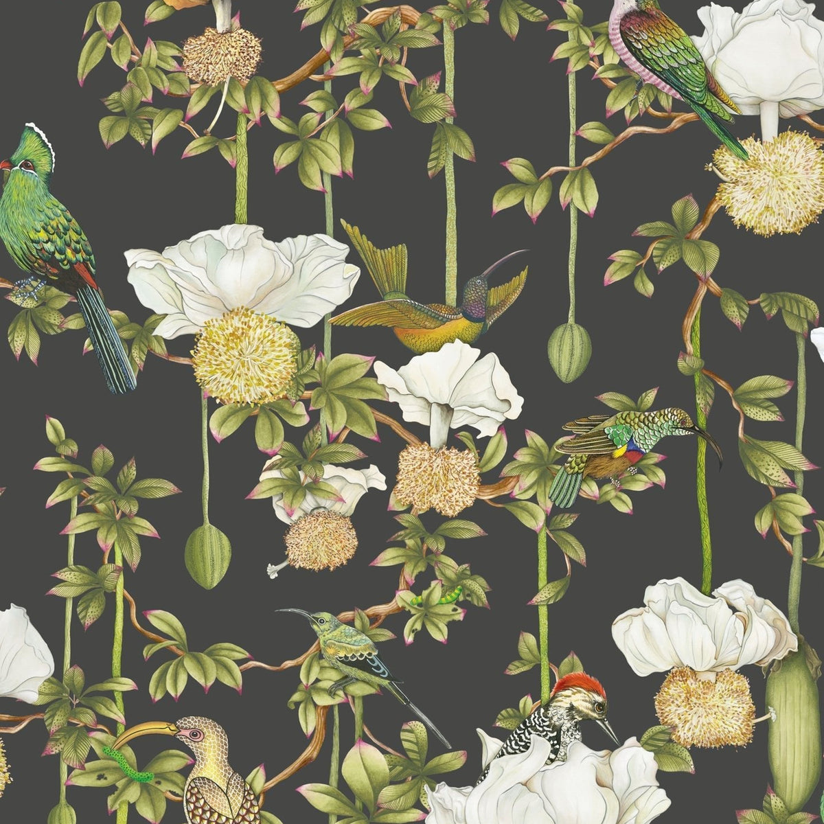 Cole & Son Baobab Botanica wallpaper in Onyx — pattern