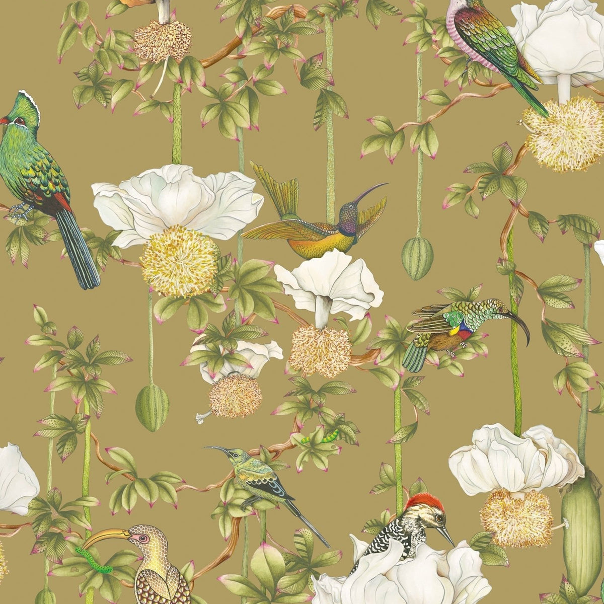 Cole & Son Baobab Botanica wallpaper in Safari — pattern