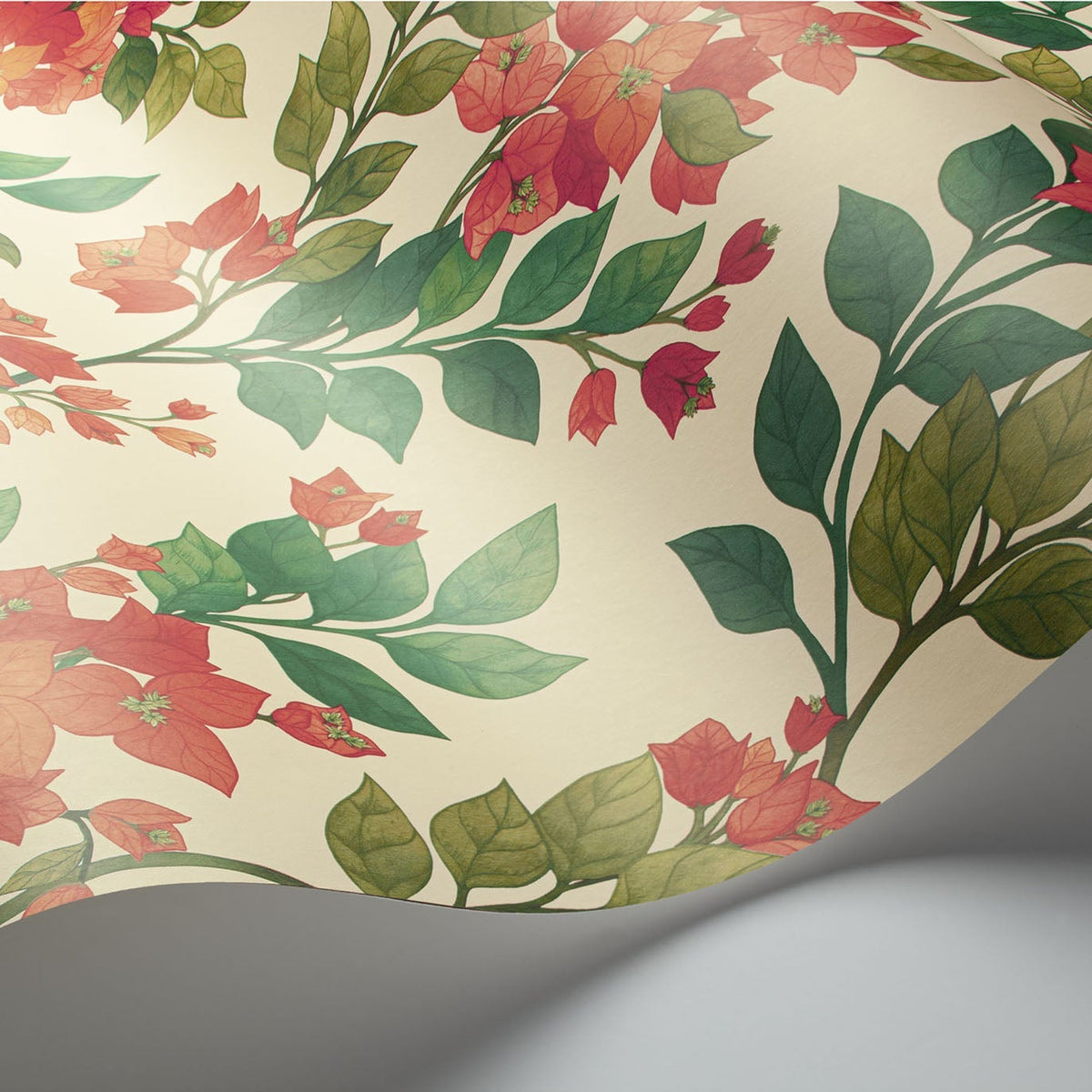 Cole & Son Bougainvillea wallpaper in Rouge, Olive Green & Emerald on Cream — detail