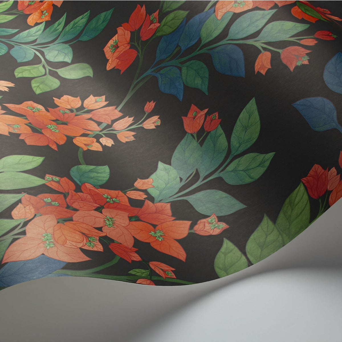 Cole & Son Bougainvillea wallpaper in Rouge, Leaf Green & Cerulean Sky on Charcoal — detail