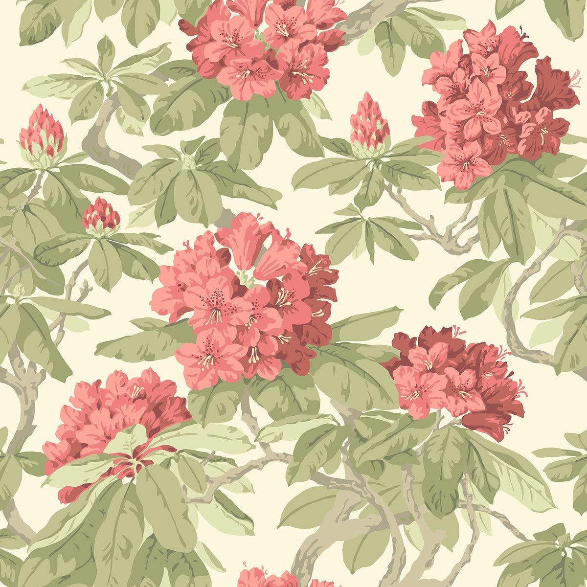 Cole & Son Bourlie wallpaper in Rose, Olive on White — pattern