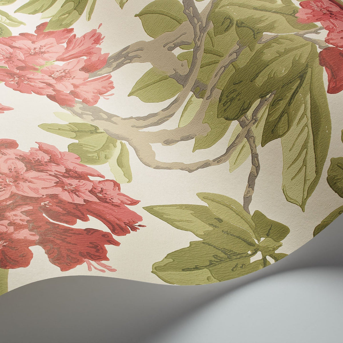 Cole & Son Bourlie wallpaper in Rose, Olive on White — detail