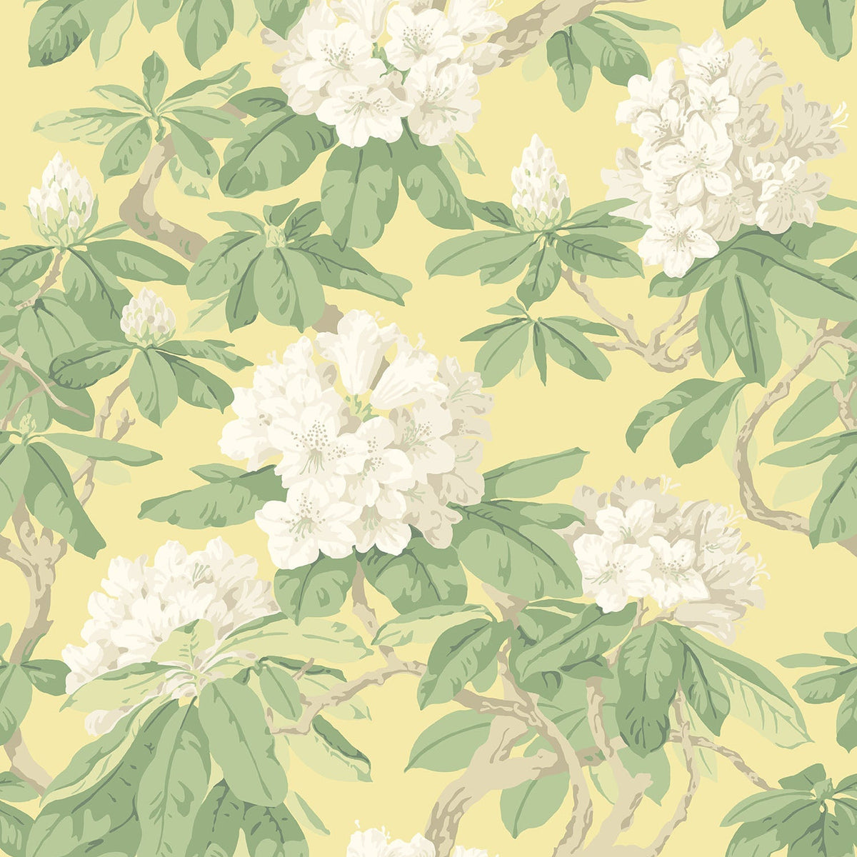 Cole & Son Bourlie wallpaper in White, Leaf Green on Lemon — pattern