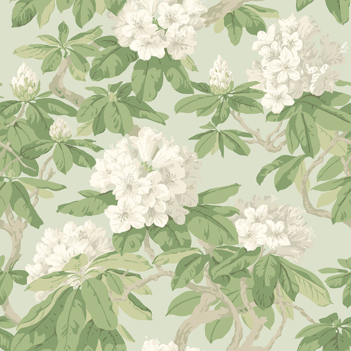 Cole & Son Bourlie wallpaper in White, Olive Green on Duck Egg — pattern