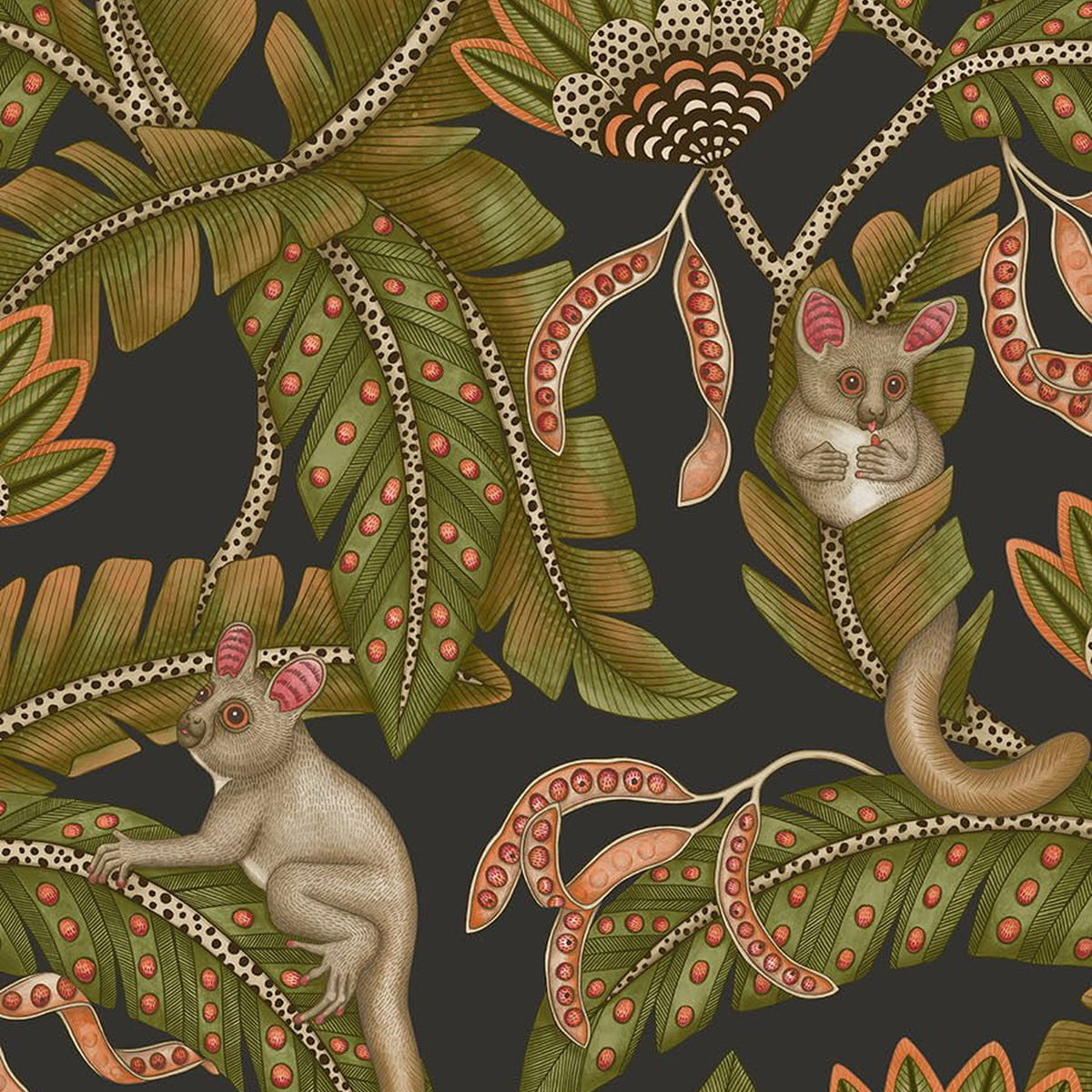 Cole & Son Bush Baby wallpaper in Spring Green & Orange on Black — pattern