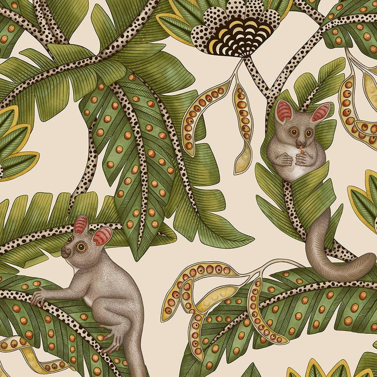 Cole & Son Bush Baby wallpaper in Spring Green & Marigold on Stone — pattern