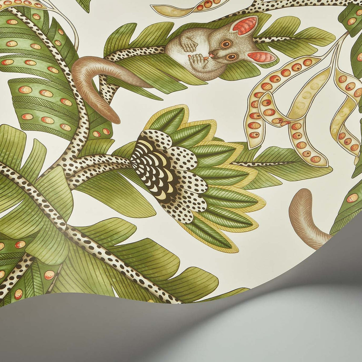 Cole & Son Bush Baby wallpaper in Spring Green & Marigold on Stone — detail