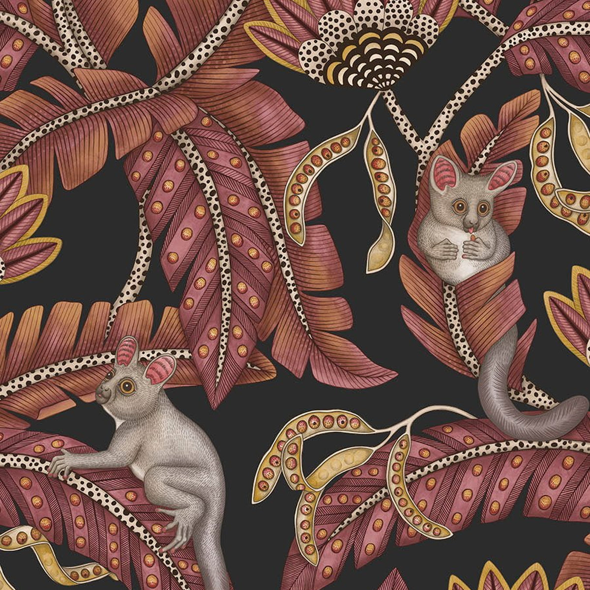 Cole & Son Bush Baby wallpaper in Crimson & Marigold on Charcoal — pattern