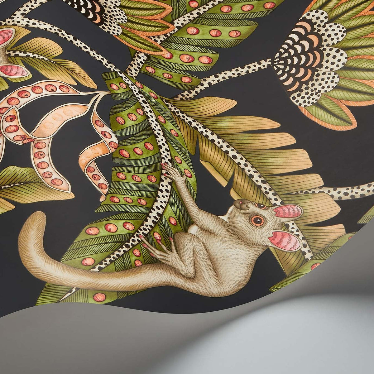 Cole & Son Bush Baby wallpaper in Spring Green & Orange on Black — detail