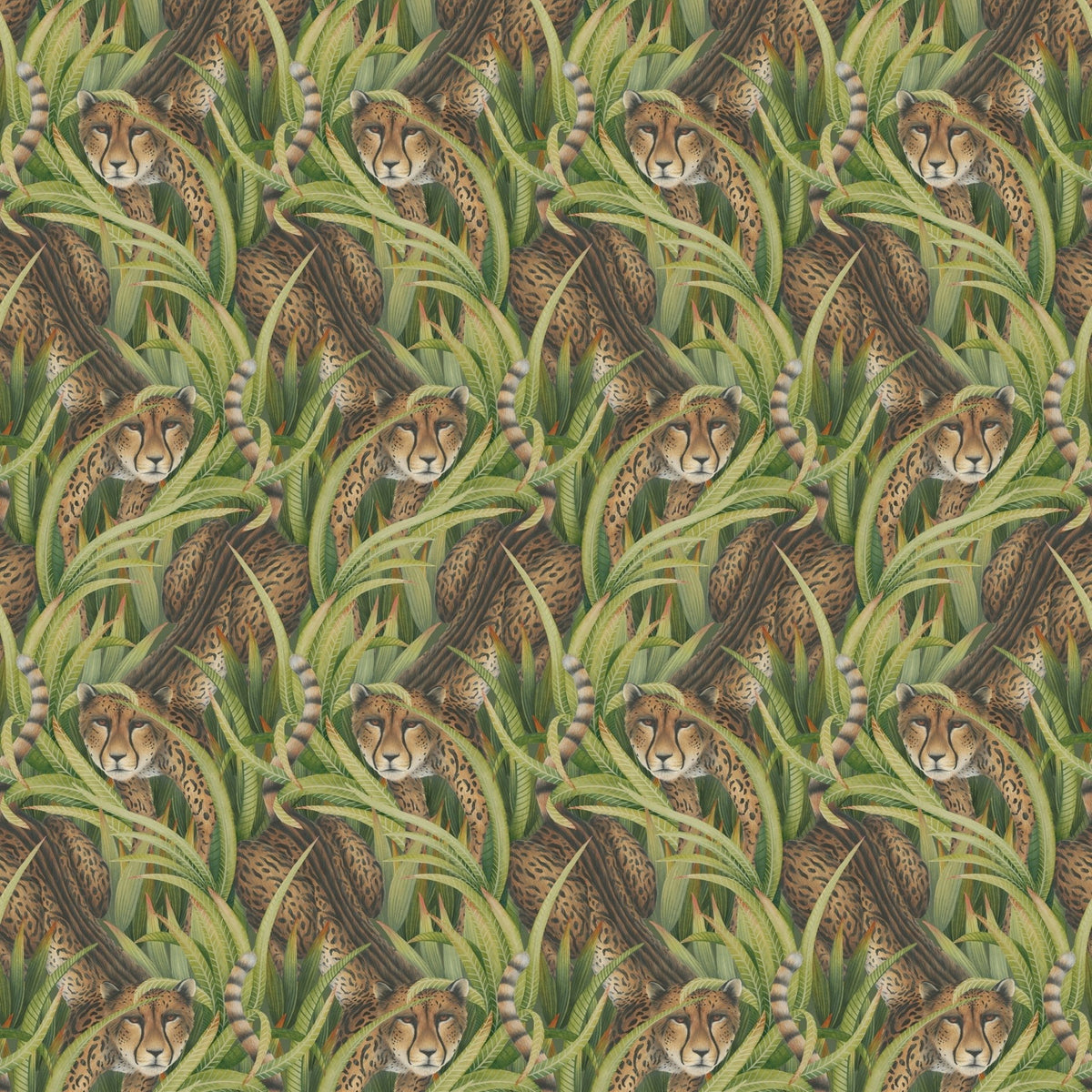 Cole & Son Cheetah Prowl wallpaper in Grass — pattern