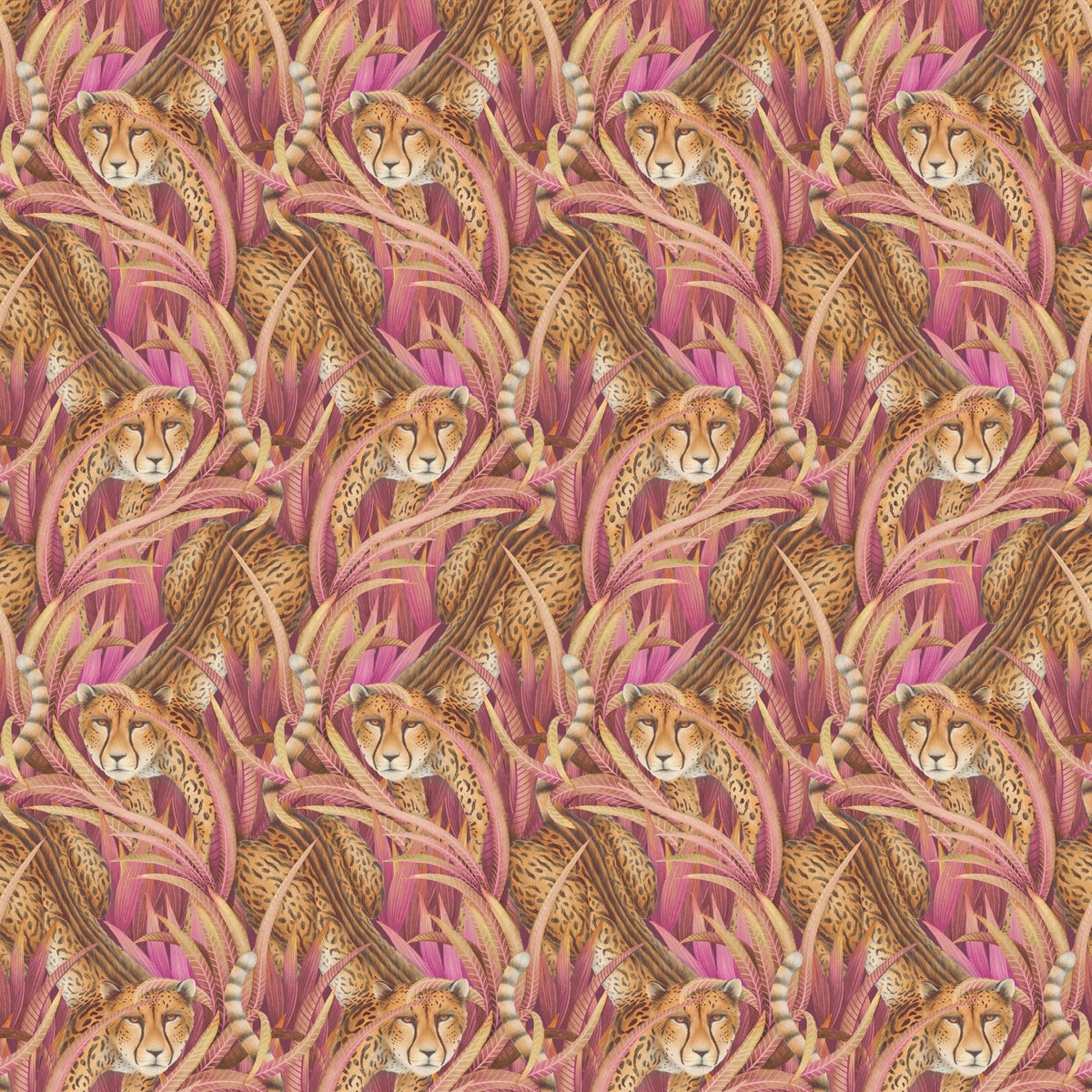 Cole & Son Cheetah Prowl wallpaper in Cerise — pattern