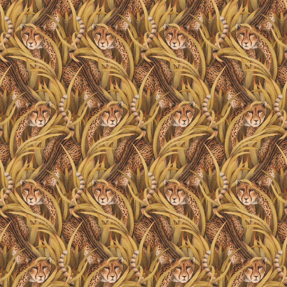 Cole & Son Cheetah Prowl wallpaper in Bronze — pattern