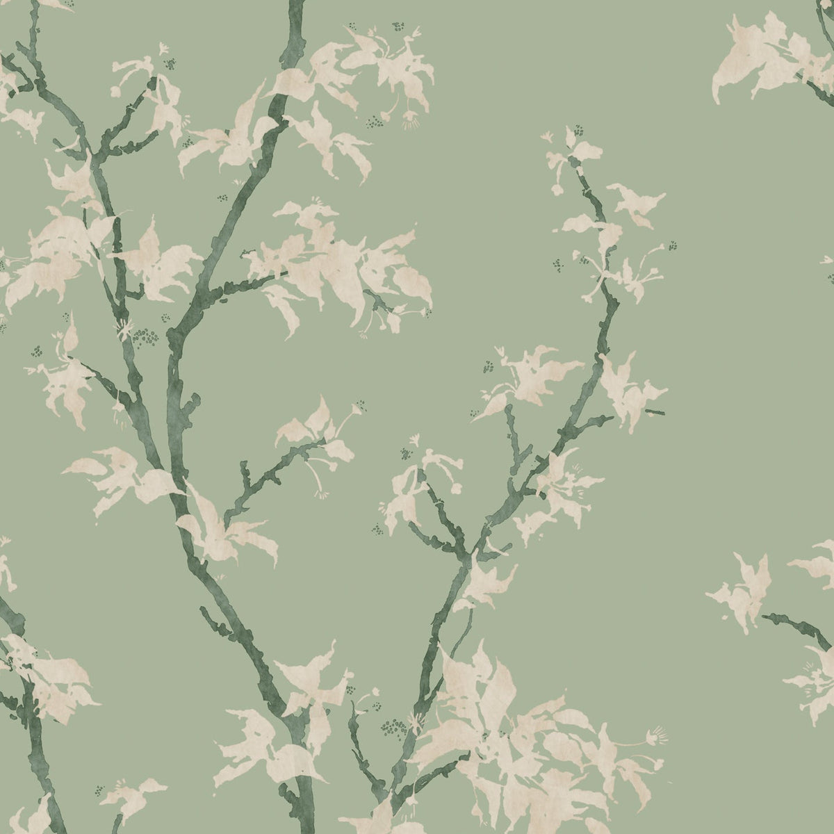 Cole & Son Chinese Branch wallpaper in Sage — pattern