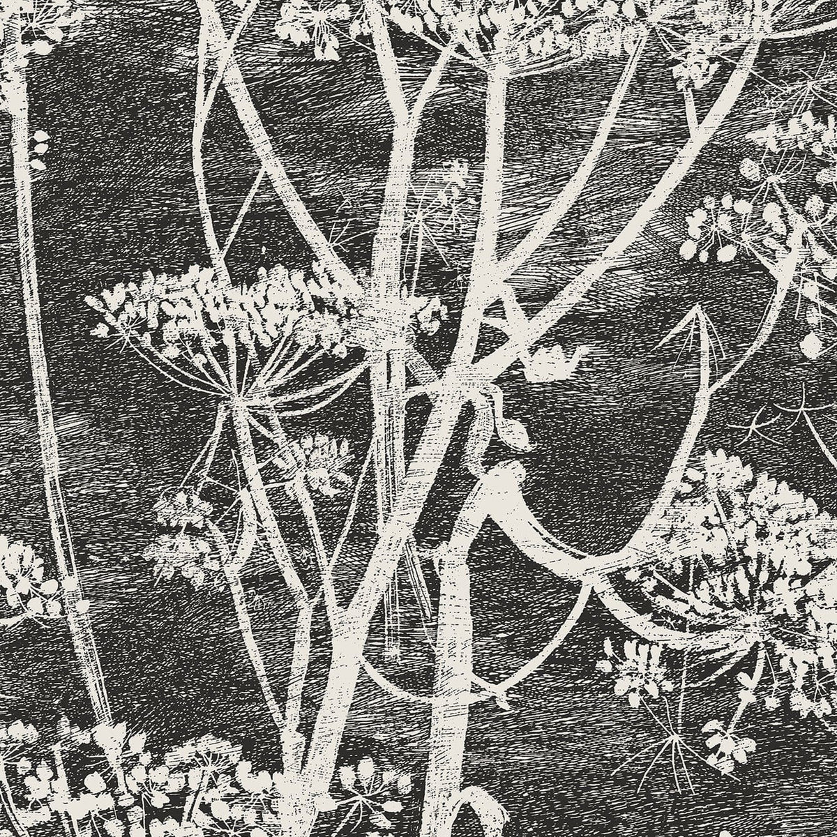 Cole & Son Cow Parsley wallpaper in Soot & Snow — pattern