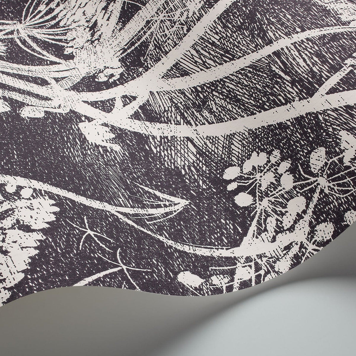 Cole & Son Cow Parsley wallpaper in Soot & Snow — detail