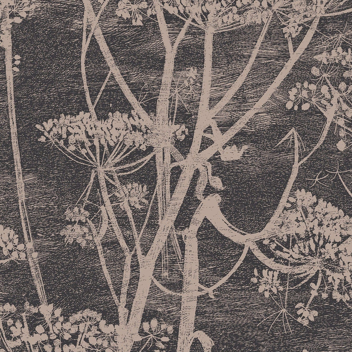 Cole & Son Cow Parsley wallpaper in Linen & Charcoal — pattern