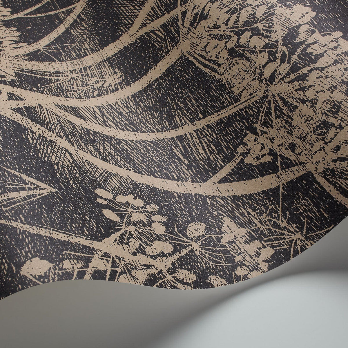Cole & Son Cow Parsley wallpaper in Linen & Charcoal — detail