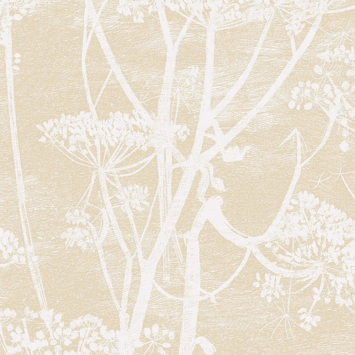 Cole & Son Cow Parsley wallpaper in Cream & Oat — pattern
