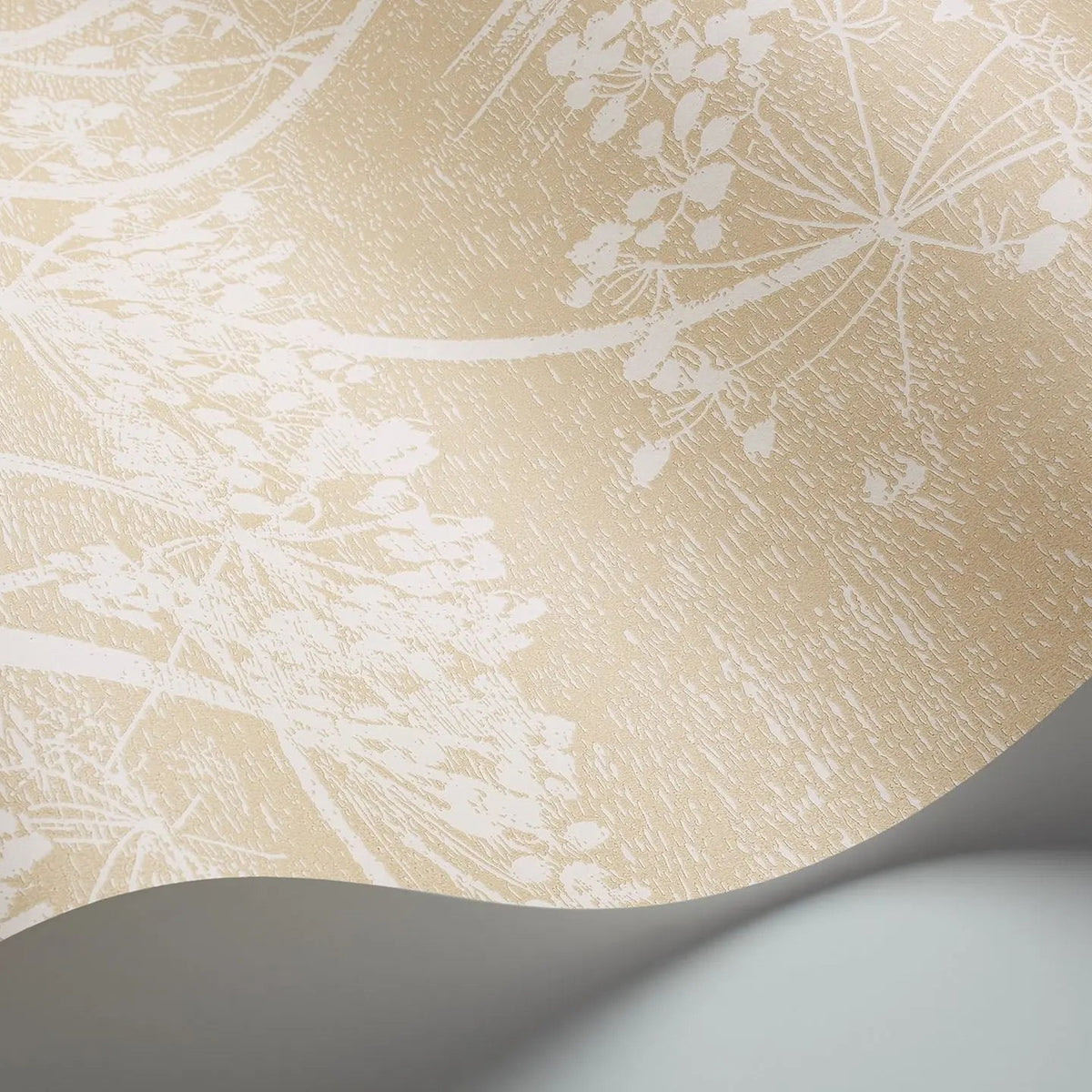 Cole & Son Cow Parsley wallpaper in Cream & Oat — detail