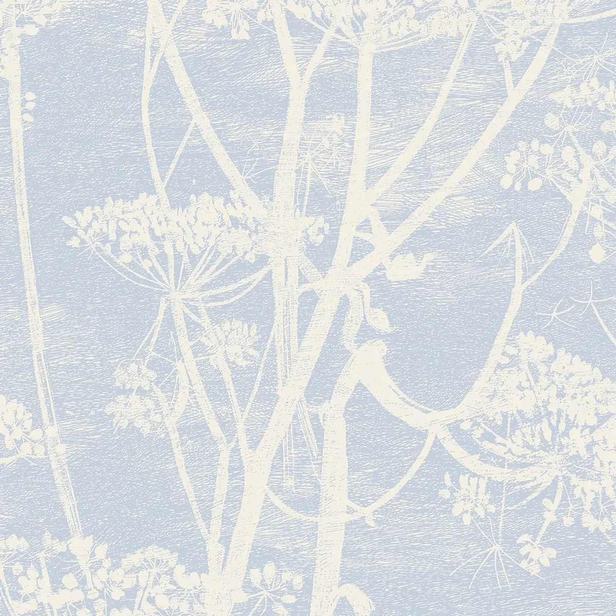 Cole & Son Cow Parsley wallpaper in Buttercup & Powder Blue — pattern
