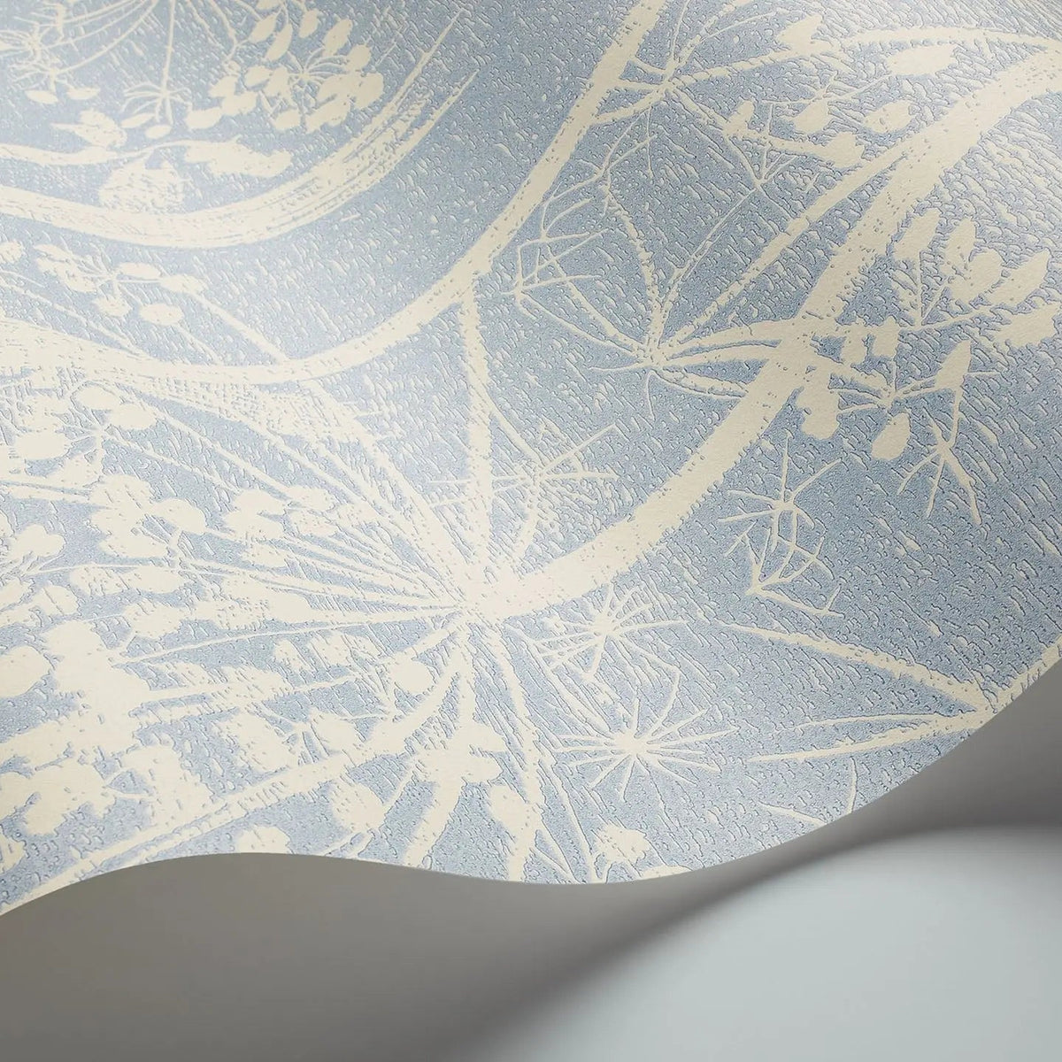 Cole & Son Cow Parsley wallpaper in Buttercup & Powder Blue — detail
