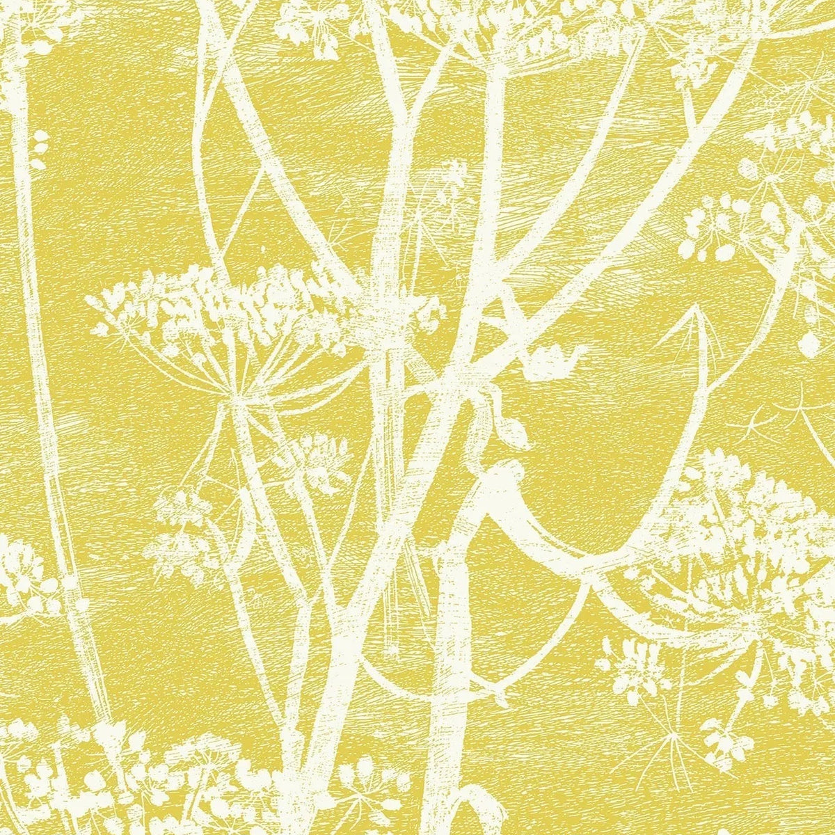 Cole & Son Cow Parsley wallpaper in White & Chartreuse — pattern