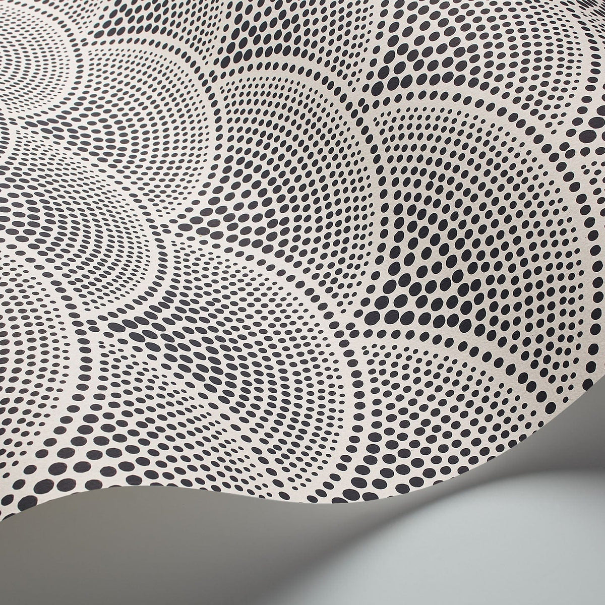 Feather Fan wallpaper by Cole & Son — Black on White
