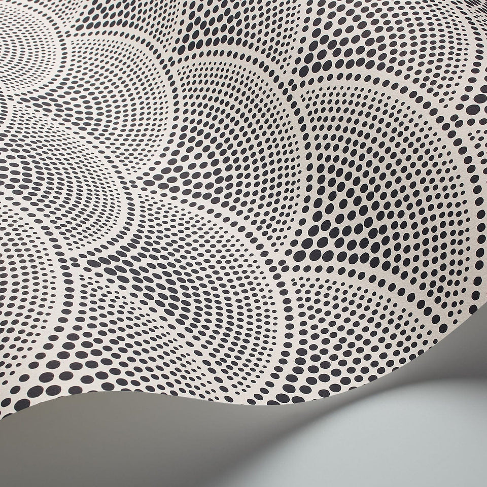 Feather Fan wallpaper by Cole & Son — Black on White