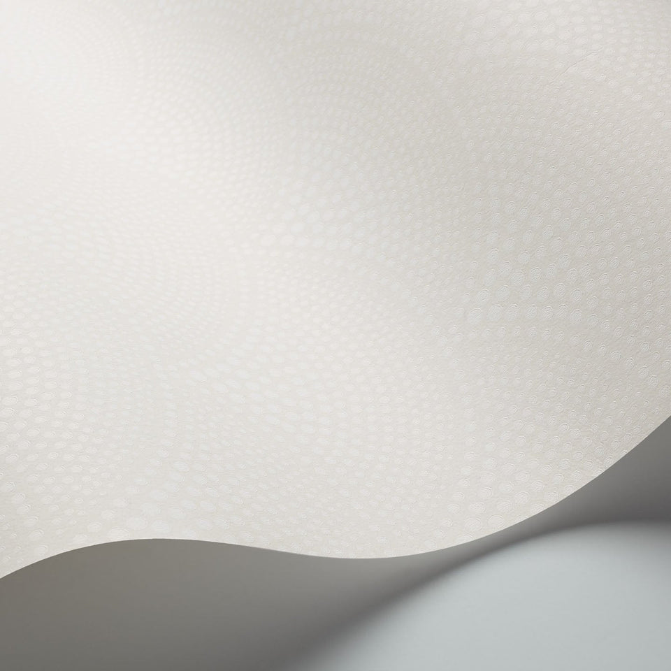 Feather Fan wallpaper by Cole & Son — Chalk on White