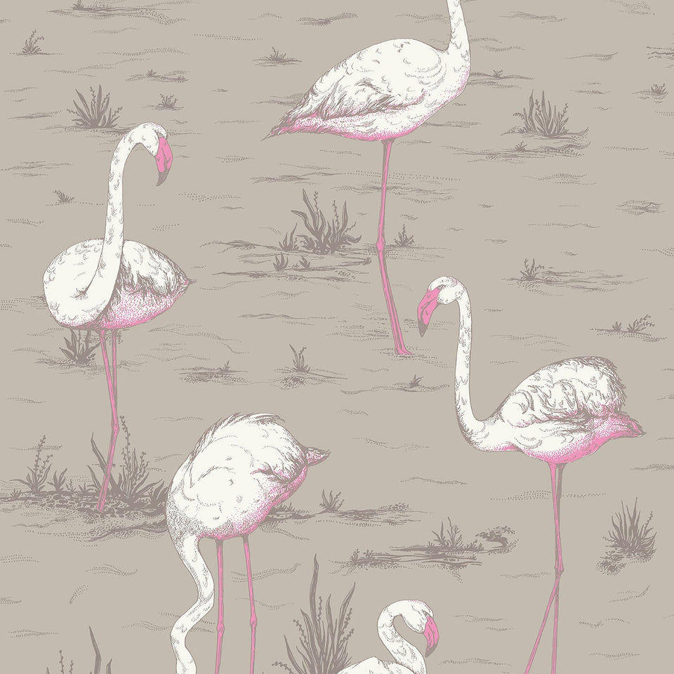 Flamingos wallpaper by Cole & Son — White & Fuchsia on Taupe