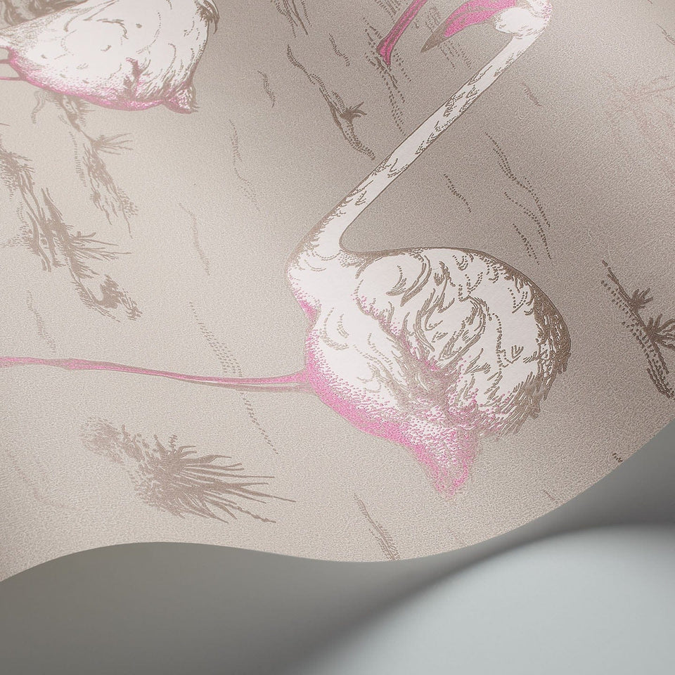 Flamingos wallpaper by Cole & Son — White & Fuchsia on Taupe