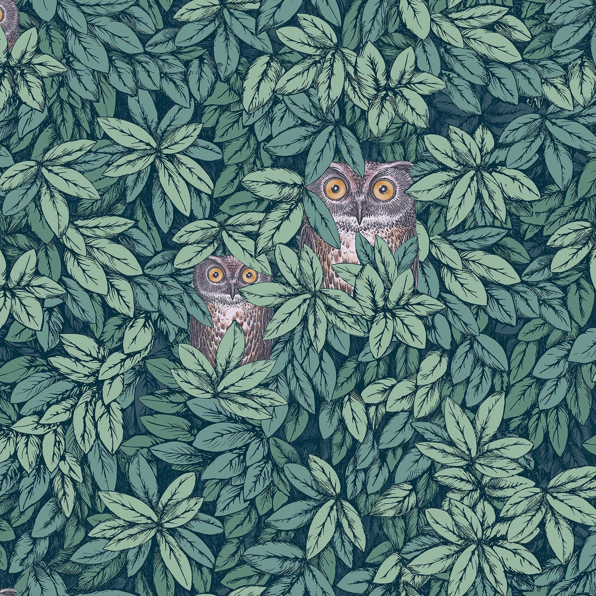 Foglie e Civette wallpaper by Cole & Son — Viridian