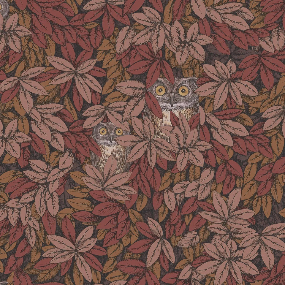 Foglie e Civette wallpaper by Cole & Son — Autumnal Leaves