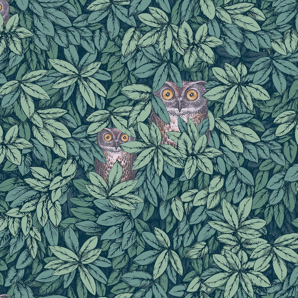 Foglie e Civette wallpaper by Cole & Son — Viridian