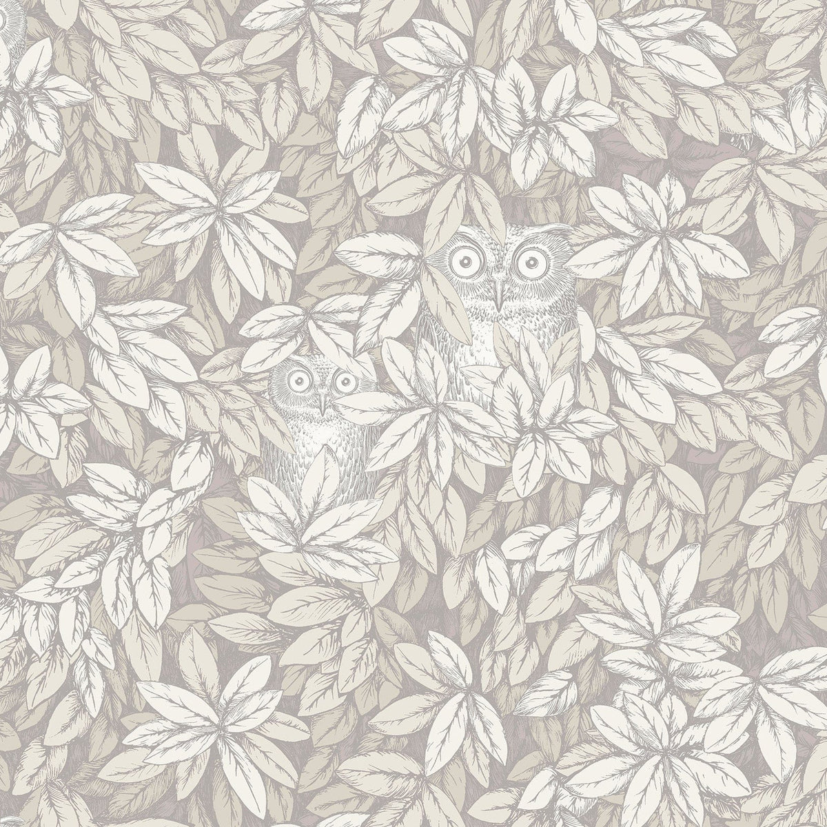 Foglie e Civette wallpaper by Cole & Son — White