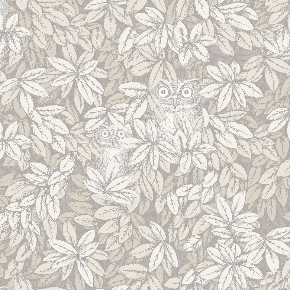 Foglie e Civette wallpaper by Cole & Son — White