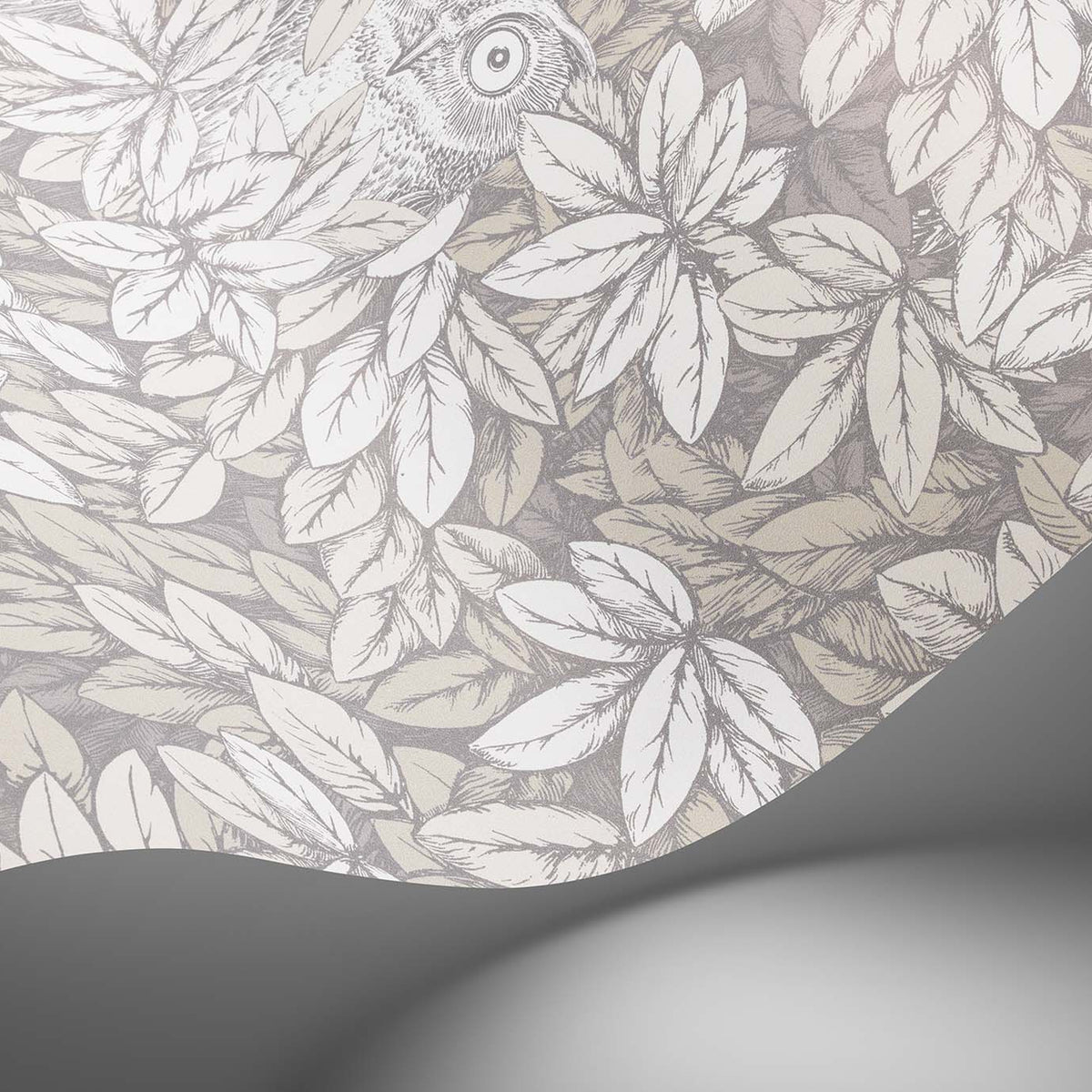 Foglie e Civette wallpaper by Cole & Son — pattern detail or room view