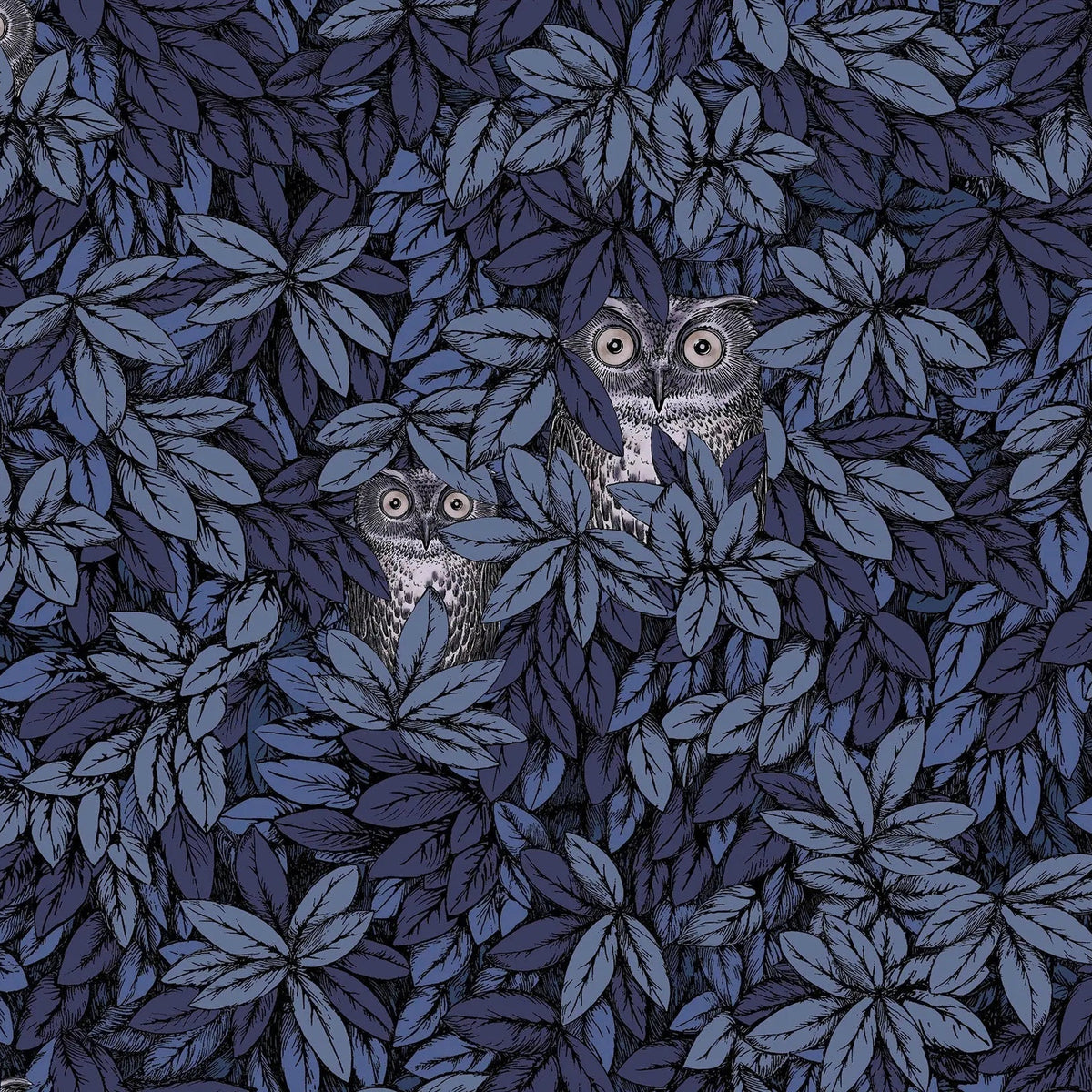 Foglie e Civette wallpaper by Cole & Son — Midnight