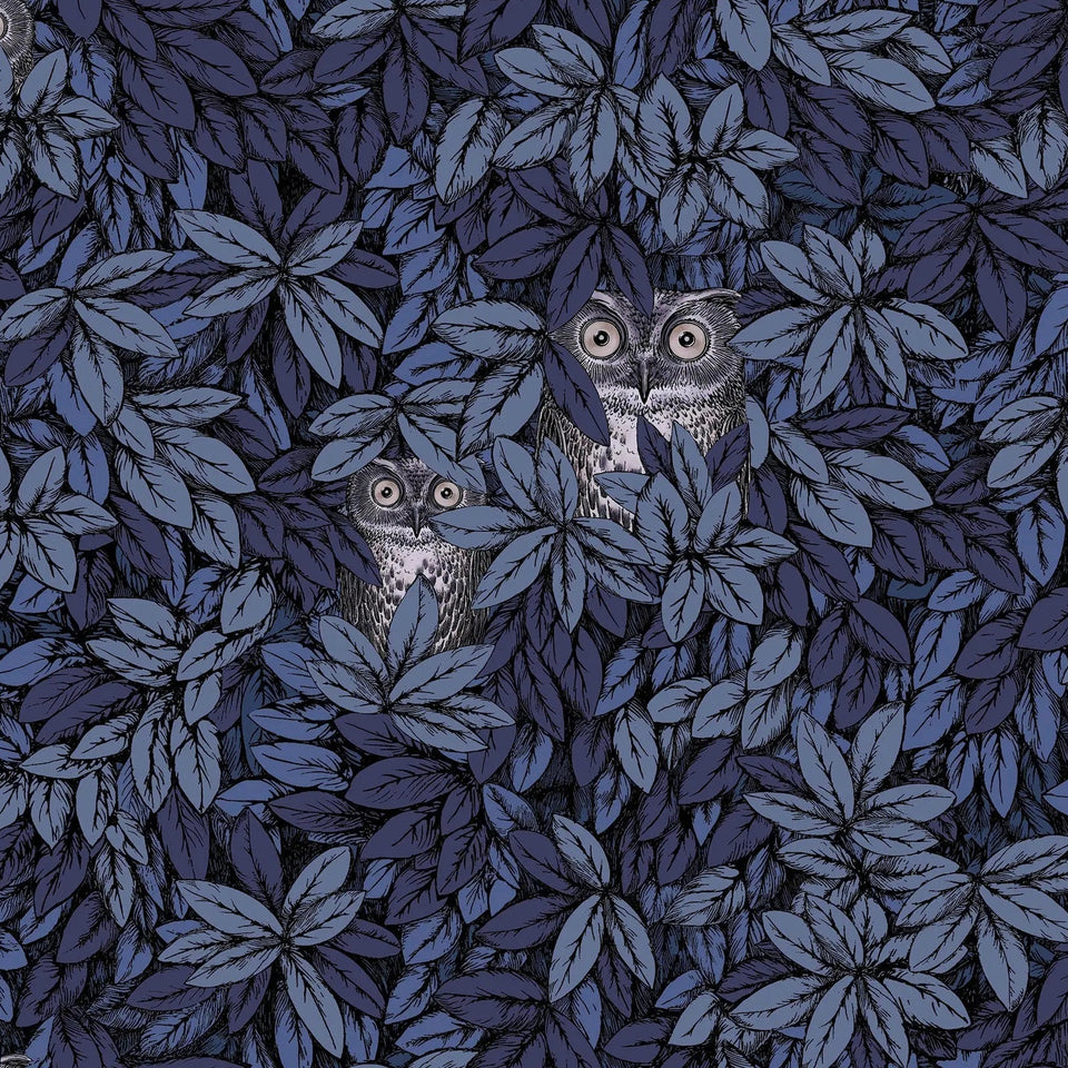 Foglie e Civette wallpaper by Cole & Son — Midnight