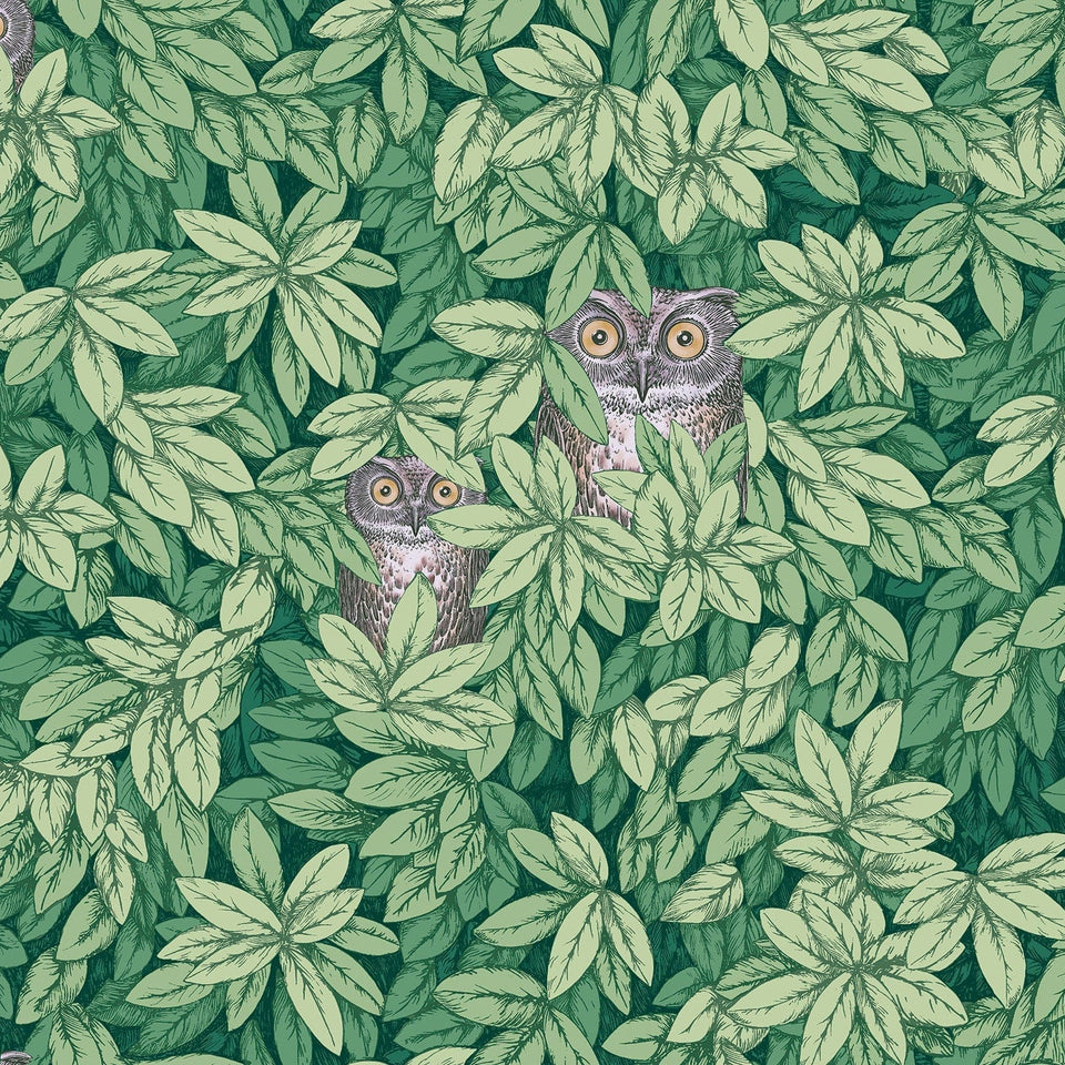 Foglie e Civette wallpaper by Cole & Son — Forest Green