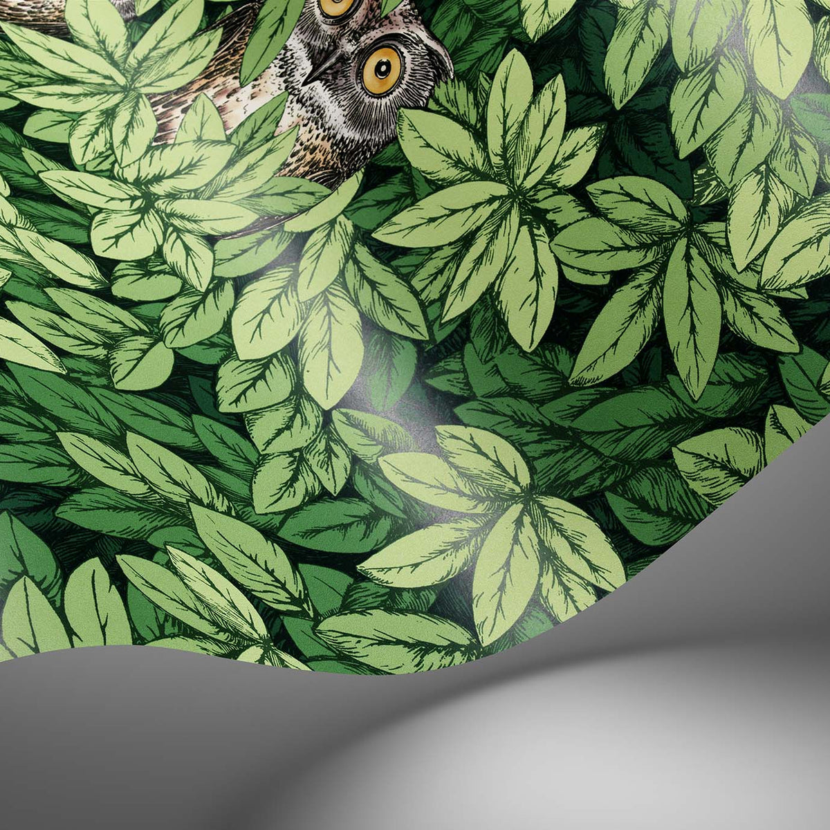 Foglie e Civette wallpaper by Cole & Son — pattern detail or room view
